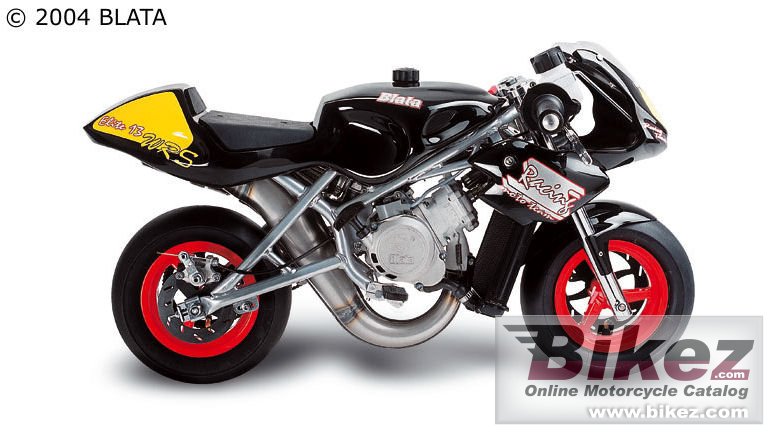 Big Blata elite 13 wrs picture and wallpaper from Bikez.com